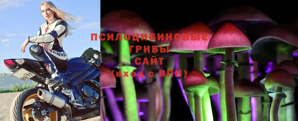 бошки Абинск