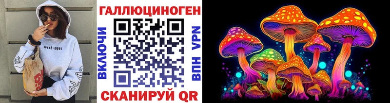 Псилоцибиновые грибы GOLDEN TEACHER  OMG ТОР  Адыгейск 